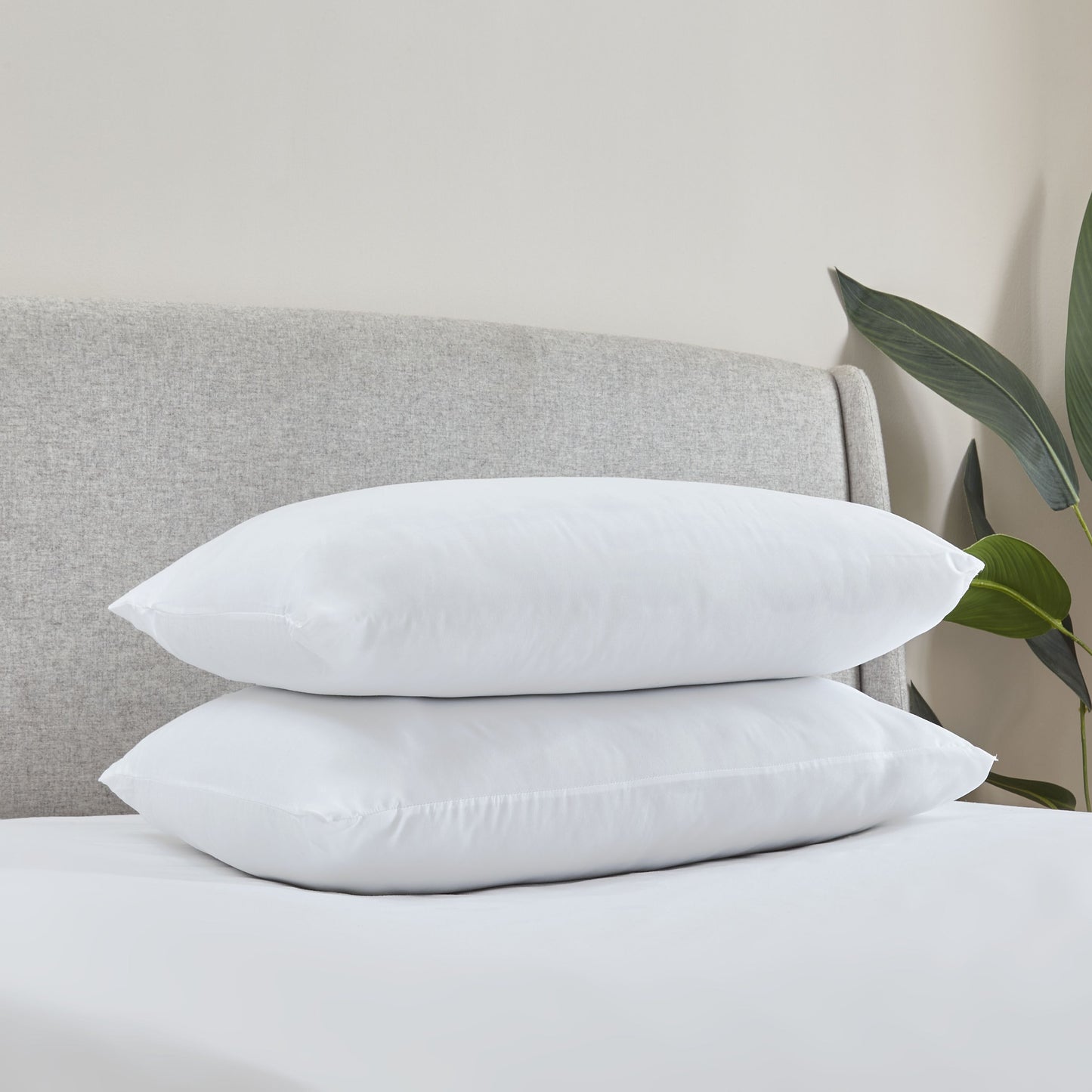 Catherine Lansfield - Soft Touch Microfibre Pillow Pair