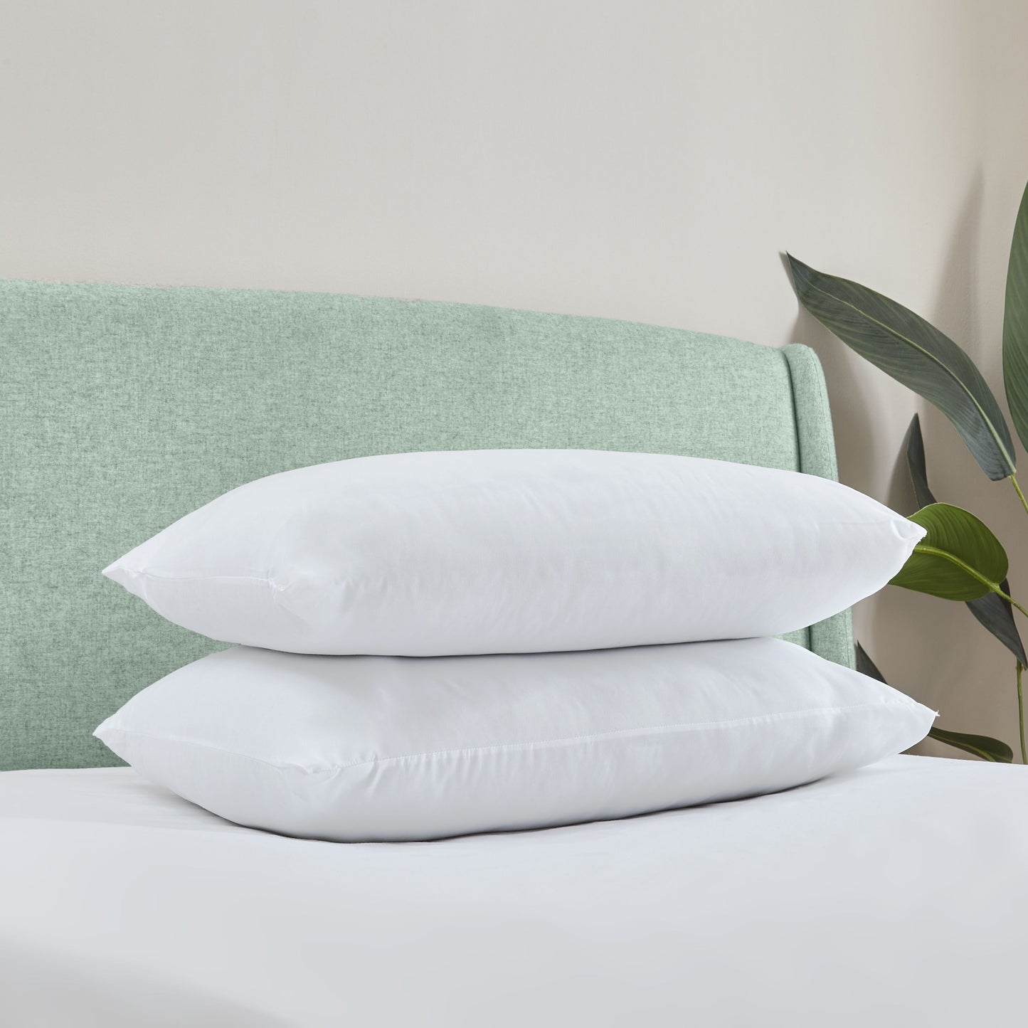 Catherine Lansfield - Anti Allergy Hollowfibre Pillow Pair