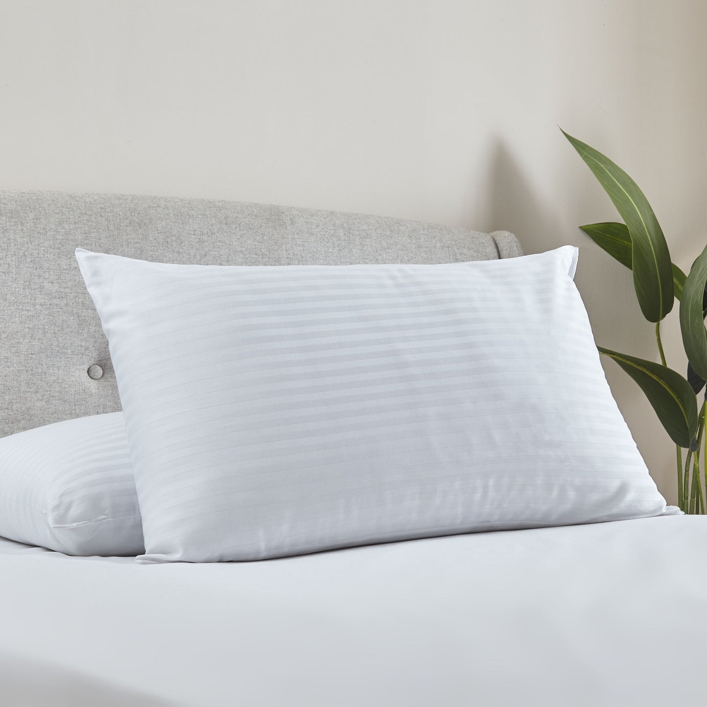 Catherine Lansfield Luxury Hotel Pillow Pair