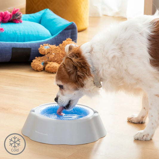 Cooling Pet Water Bowl